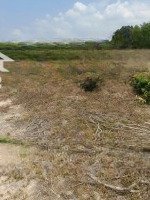 Bán Đất Xã Nhuận Đức.mặt Tiềnbà Thiên Cách Trung Tâm Sát Hạch Lái Xe 2Km6 Dt.2.520Mv Đất Qh Dân Cư