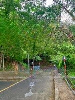 Bán Gấp Lô Đất Mặt Tiền Đường Hải Đăng View Trực Diện Biển Bãi Trước Vũng Tàu 3935M2