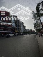 Cho Thuê Nhà 343 Võ Văn Tần, Phường 5, Quận 3 - Diện Tích: 5.5X16M, Trệt, 4 Lầu