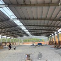 Cho Thuê 17.890m2 Nhà Xưởng Mới Tại Bàu Bàng, Dầu Tiếng Bình Dương