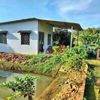 Cần Vốn Làm Ăn - Cần Bán Gấp Lô Đất Vườn 1300m2 tại TP Long Khánh