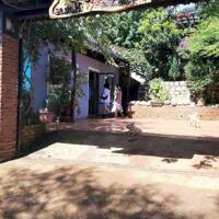Cho thuê homestay đẹp tại Măng Line, Phường 7, Đà Lạt giá 15 triệu/tháng