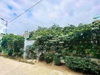 Bán Lô Diên Lạc Cách Tỉnh Lộ 2 50M. 100% Thổ Cư