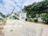 Bán Lô Diên Lạc Cách Tỉnh Lộ 2 50M. 100% Thổ Cư