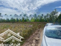 Bán Đất 200M2 Giá Cực Chất Tại Minh Hưng, Chơn Thành, Bình Phước