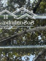 Bán Khu Nghỉ Dưỡng Đẹp Tại Thị Trấn Nam Ban, Lâm Hà, 5,3 Tỷ, 4800M2