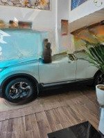 Đừng Bỏ Lỡ Biệt Thự Mini Siêu Đẹp Giá Siêu Rẻ! Giảm Cả Tỷ Từ 8,2 Tỷ Còn 7,2 Tỷ
