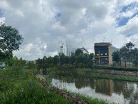 Bán Nền Nhà Phố 6X24,5M Full Thổ Cư View Sông Đường 12M Ngay Cổng Chảo Bình Dương Giá Chỉ 38 Triệu/M2