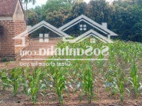 Quá Rẻ Để Đầu Tư Lô 4574M/400M Ont Tại Nhuận Trạch Sát Kcn Nhuận Trạch