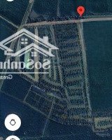 Trang Trại Độc Quyền Nhà Phố Thanh Hóa