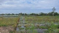 Đất View Kênh 20X58 , Shr, Đất Cách Xã Tân Tây , Thạnh Hoá, Long An.