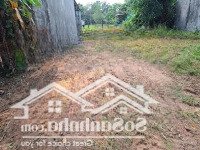 Sót Lại Lô Đất 139M2/ 700 Triệu Tại Mỹ Hạnh Nam 100% Thổ Cư Shr, Đường Ô Tô Thoải Mái