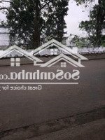 Bán Nhà Tây Trà, Trần Phú, Hoàng, Mai, Phân Lô, Ô Tô, Gần Hồ, 40M2, 4 Tầng, 12,5 Tỷ