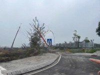 Chính Chủ Cần Nhượng Lại Lô Đất Cực Đẹp, Đón Sóng Phổ Yên, Tiềm Năng Tăng Giá Mạnh