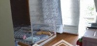 Bán Nhà 4.6X17M 4 Lầu Hxt 7M Thông, Đường Nhánh Lê Đức Thọ, P.6, Gò Vấp, Hcm, Giá 10.7 Tỉ Tl