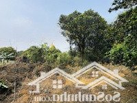 Siêu Phẩm Lô Góc 2 Mặt Tiền 1.911M (200M Thổ Cư) Đường Xe Công Sát Sân Golf Skylake