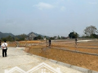 Chưa Đến 200 Triệu Cho 1 Lô 225M2. Chính Chủ Em Cần Tiền Bán Gấp - Đất Thạch Thành, Thanh Hóa