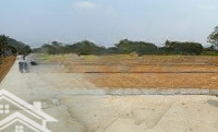 Chưa Đến 200 Triệu Cho 1 Lô 225M2. Chính Chủ Em Cần Tiền Bán Gấp - Đất Thạch Thành, Thanh Hóa