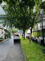 Bán Nhà Đường 16M Nguyễn Cửu Đàm (4M X 14M) Nhà 2 Lầu Sân Thượng