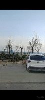 Cho Thuê Mặt Tiền Thuỳ Vân Diện Tích 12Mx20M
