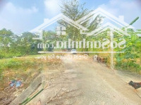 Đất Nền 83M2, Gần Đường 420, Bình Yên, Thạch Thất, Hà Nội