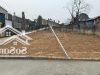 Hàng Hiếm,2 Lô Đất Full Thổ Cư Tại Tu Vũ,Thanh Thuỷ,Phú Thọ,Đường Bê Tông Trục Chính Thông Tứ Phía