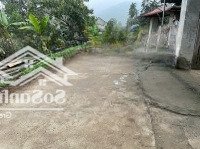 Hàng Hiếm,2 Lô Đất Full Thổ Cư Tại Tu Vũ,Thanh Thuỷ,Phú Thọ,Đường Bê Tông Trục Chính Thông Tứ Phía