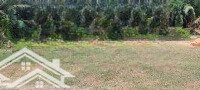 Đất Thổ Cư Giá Rẻ Hưng Long Quý Đức Bình Chánh