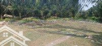 Đất Thổ Cư Giá Rẻ Hưng Long Quý Đức Bình Chánh