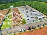 Bán Đất 125M2 Tại Đường 20, Xã Lộc Quảng, Bảo Lâm, Lâm Đồng, 11 Triệu / M2 Siêu Hot