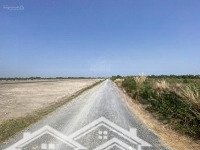 Bán Đất Mặt Tiền Đường Đê Gốc Tre - Cần Giờ ,Xã Lý Nhơn, Đường 6M Đá Xanh Giá 1,6 Tr/M2