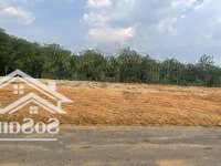 Bán Đất Khu Tân Định Giá Tốt Chỉ 1 Tỷ 4 (Đã Bao Gồm Thuế Phí)