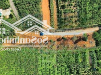 Đất Nền Đẹp Xuất Sắc Tại Lộc An, Bảo Lâm, Lâm Đồng, Giá Cực Chất 1,5 Tỷ, 250M2