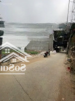 Chính Chủ Bán Đất, Đường Ô Tô Tránh Nhau