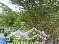 Kdt Phước Long A - 3 Tầng - Đường Lớn 16M - Vừa Ở Vừa Kinh Doanh - 7.1 Tỷ