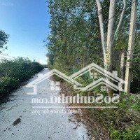 Bán Lô Đất Thổ Cư Gần 300M2 Giá Rẻ Nhất Khu Vực Ninh Vân, Đường Xe Tải, Xây Dựng Thoải Mái