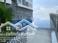 Chủ Đầu Tư Mở Bán Duy Nhất Căn Penthouse 132M2, Tại Goldora Plaza, Ngay Rmit, Chiết Khấu 5%