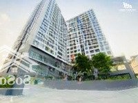 Chủ Đầu Tư Mở Bán Duy Nhất Căn Penthouse 132M2, Tại Goldora Plaza, Ngay Rmit, Chiết Khấu 5%
