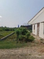 Hính Chủ Gửi Bán Lô 75M2 Tân Thành, Dương Kinh.