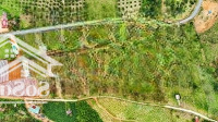 Bán Nhanh Lô Đất Vườn - Quy Hoạch Thổ Cư 100% ( Hàng Hiếm )