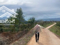 Bán Nhanh Lô Đất Vườn Đt 725, 750 Triệu / 1220M2, Giá Cực Chất!
