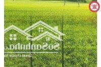 Có Mảnh Đất Cần Bán Tại Việt Dân, Đông Triều, Quảng Ninh