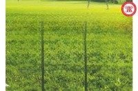 Có Mảnh Đất Cần Bán Tại Việt Dân, Đông Triều, Quảng Ninh