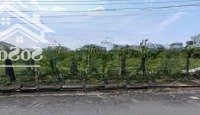 Bán Đất Tại Đường Đặng Đại Độ, Phường Hiệp Hòa, Biên Hòa, Đồng Nai, 100M2/619 Triệu, Shr, Thổ Cư