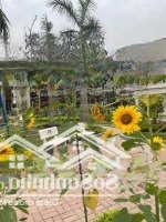 Sổ Hồng Trao Tay - Sở Hữu Ngay Căn Liền Centa City 75M2 - Gía Chỉ 3 Tỷ Xx