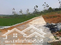 Cần Bán Mảnh Đất Đẹp Tại Hoà Sơn, Lương Sơn, Hoà Bình View Cánh Đồng Lúa Tuyệt Đẹp Diện Tích: 1.