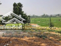 Cần Bán Mảnh Đất Đẹp Tại Hoà Sơn, Lương Sơn, Hoà Bình View Cánh Đồng Lúa Tuyệt Đẹp Diện Tích: 1.