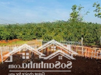 Cơ Hội Sở Hữu Đất Nền Đẹp Tại Mê Linh, Vị Trí Đắc Địa Tiềm Năng Sinh Lời Cao Gần 200M2 Chỉ 574 Tr