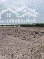 Bán Trang Trại, Khu Nghỉ Dưỡng Tại Đường 781, Châu Thành, Tây Ninh, Giá Ưu Đãi 1,1 Tỷ, 11000 M2