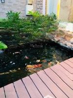 Villa Đẹp Lung Linh,Hẽm Xe Hơinguyễn Thị Thập Quận 7, Gần Chợ Tân Mỹ.diện Tích8X14 - 3 Tầng - Giá Bán 16 Tỷ Nhỉnh